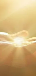 Hands embracing sunlight, radiating warmth and peace.