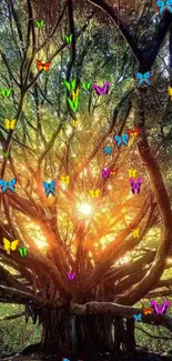 Sunlight bursting through vibrant tree branches in lush forest scene.