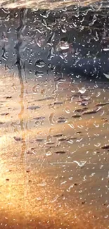 Golden sunset through rain-specked glass, creating a serene and artistic view.