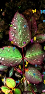 Mobile wallpaper of rain-drenched green leaves with dewdrops.