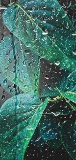 Rain-drenched green leaves with droplets on a mobile wallpaper.