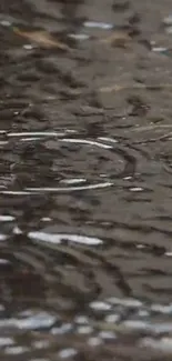 Rain ripples on a dark water surface wallpaper.