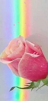 Pink rose with a rainbow light streak on a mobile wallpaper.