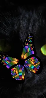 A colorful rainbow butterfly sits on a black cat's face with glowing green eyes.