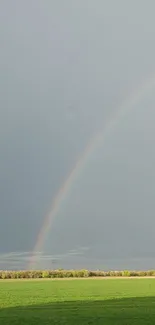 Vibrant rainbow over a green field under a cloudy sky.