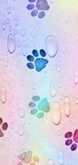 Colorful paw prints with raindrop pattern design.