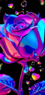 Rainbow Rose Flower Plant Live Wallpaper