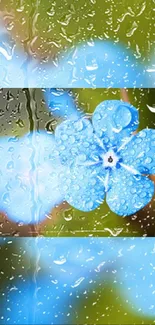 Blue flower with raindrops on a lush green background wallpaper.