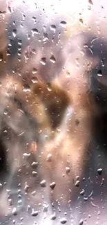 Close-up of raindrops on glass with blurred background.