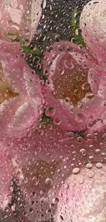 Delicate pink flowers with raindrops on a mobile wallpaper.