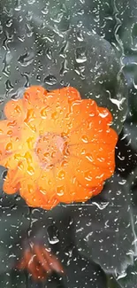 Orange flower with raindrops on a serene background.