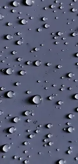 Close-up of serene raindrop pattern on a gray surface wallpaper.