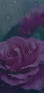 Purple rose with raindrops wallpaper, perfect for your mobile screen.