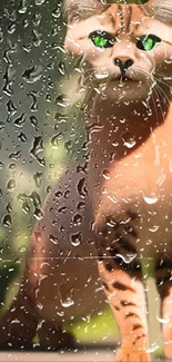 Orange cat behind raindrop-covered glass with vivid green eyes.