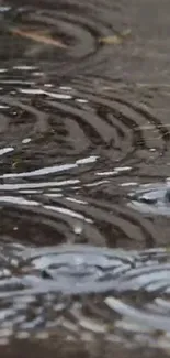 Gray rippling water with raindrop patterns.