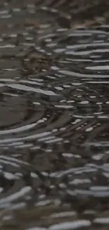 Raindrop ripples creating a serene pattern on water surface.