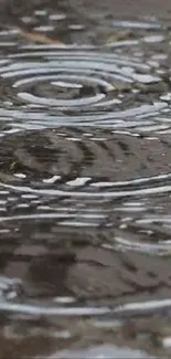 Close-up of raindrop ripples on water surface, creating a calming effect.