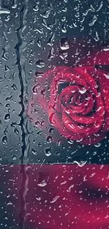 Red rose with raindrops on a dark background.