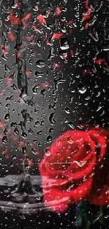 Romantic raindrop rose wallpaper with a vivid red flower on black background.