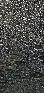 Close-up of raindrops creating a textured wallpaper design.