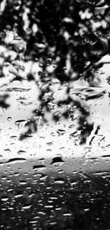 Black and white wallpaper of raindrops on a window creating a calming scene.