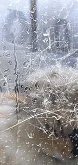 Raindrop-covered window with blurred view.