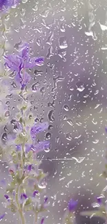 Lavender flowers with raindrops on glass, serene mobile wallpaper.