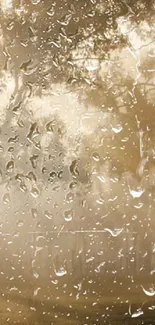 Raindrops on a window with a golden misty background.