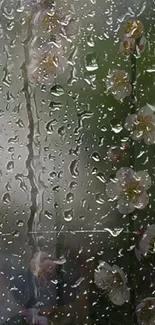 Raindrops on glass with blossoms behind.