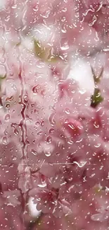 Blossoms with raindrops on glass, creating a tranquil pink phone wallpaper.