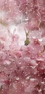 Pink blossom wallpaper with raindrops on glass.