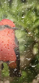 Colorful bird seen through raindrops on glass with green background.