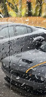 Sleek cars behind rain-covered glass with autumn leaves.