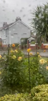 Rainy day view of flowers through a window on a suburban street.