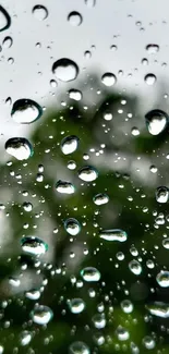 Clear rain droplets on glass with green and gray background.