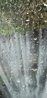 Raindrops on window with green nature background.