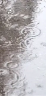 Reflective pavement with raindrops creating patterns on a rainy day.