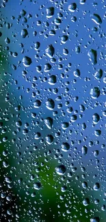 Raindrops on a window with nature backdrop in blue and green hues.