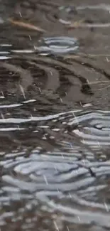 Ripples and rain on a calm water surface wallpaper.