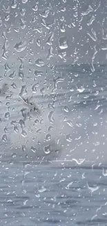 Raindrops on glass with ocean view wallpaper.