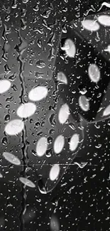 Black and white wallpaper with raindrops on a reflective glass surface.