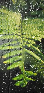 Green fern leaves with raindrops mobile wallpaper.