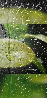 Vibrant green leaf with rain droplets on a sleek background.