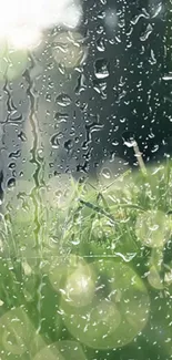 Mobile wallpaper with raindrops on grass.