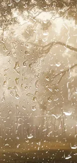 Raindrops on a window with trees in the background, creating a calm and serene view.