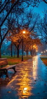 Rainy park path illuminated by streetlights at night.