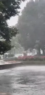 Serene rainy park scene with lush trees.