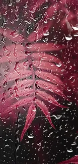 Mobile wallpaper of pink fern through raindrops on glass.