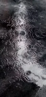 Reflection of raindrops on a wet street creating an artistic ripple effect.