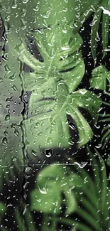 Tropical leaves with raindrops wallpaper.